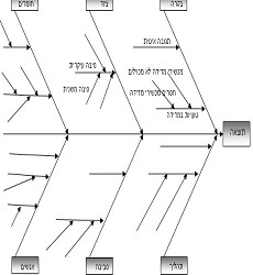 ייעוץ ארגוני - תרשים עצם דג